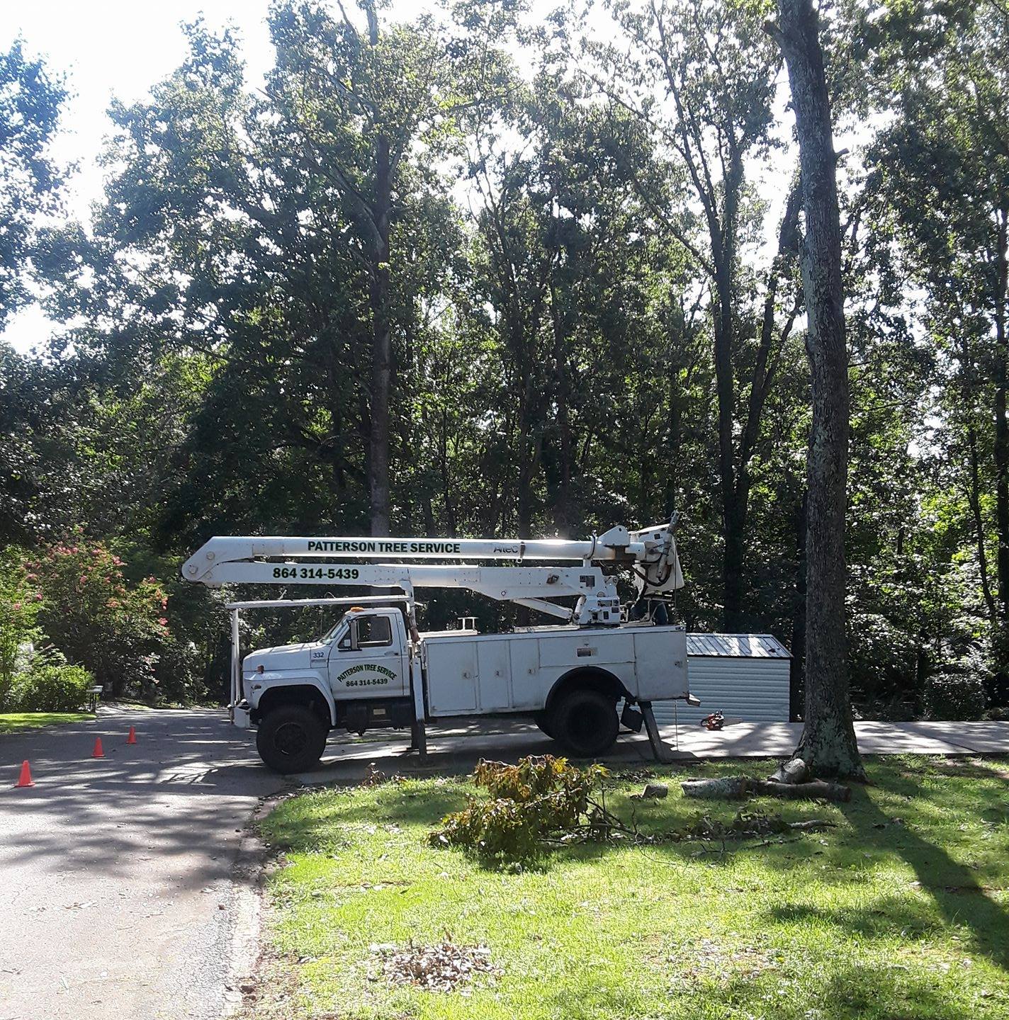 Patterson Tree & Lawn Service | Lowndesville SC