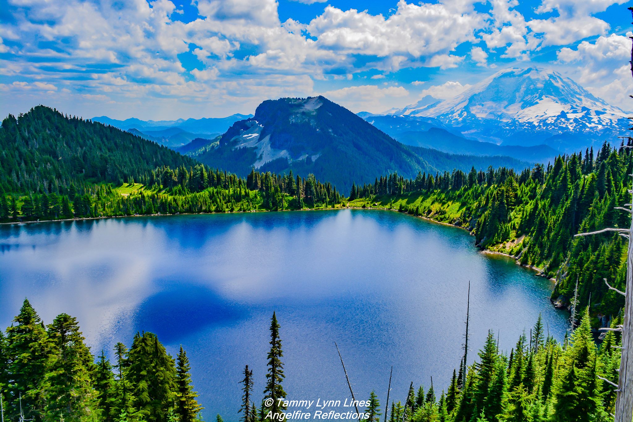 AngelFire Reflections