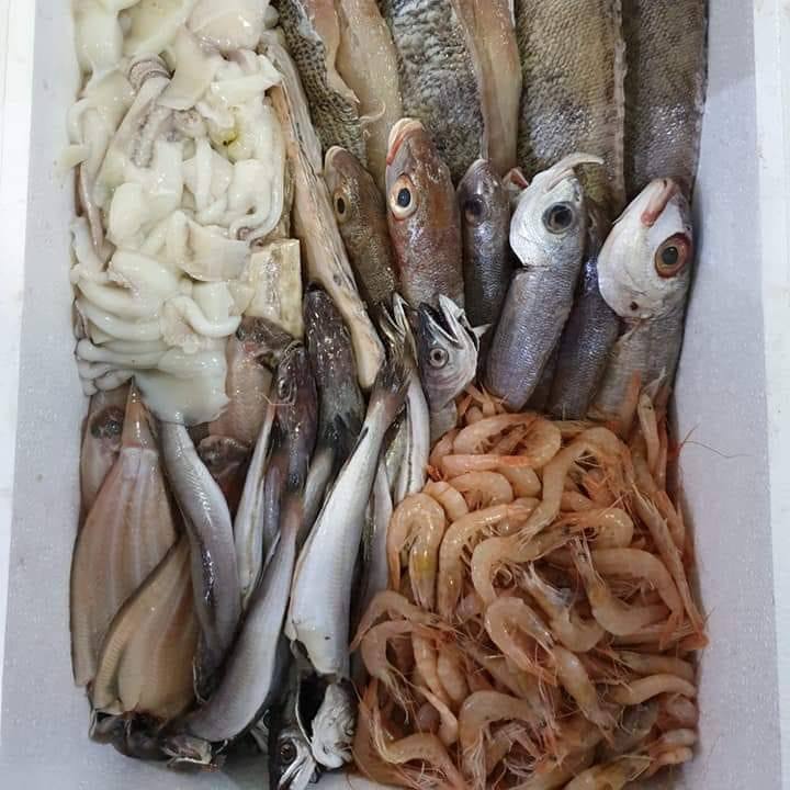 Adil fish | Sale VIC