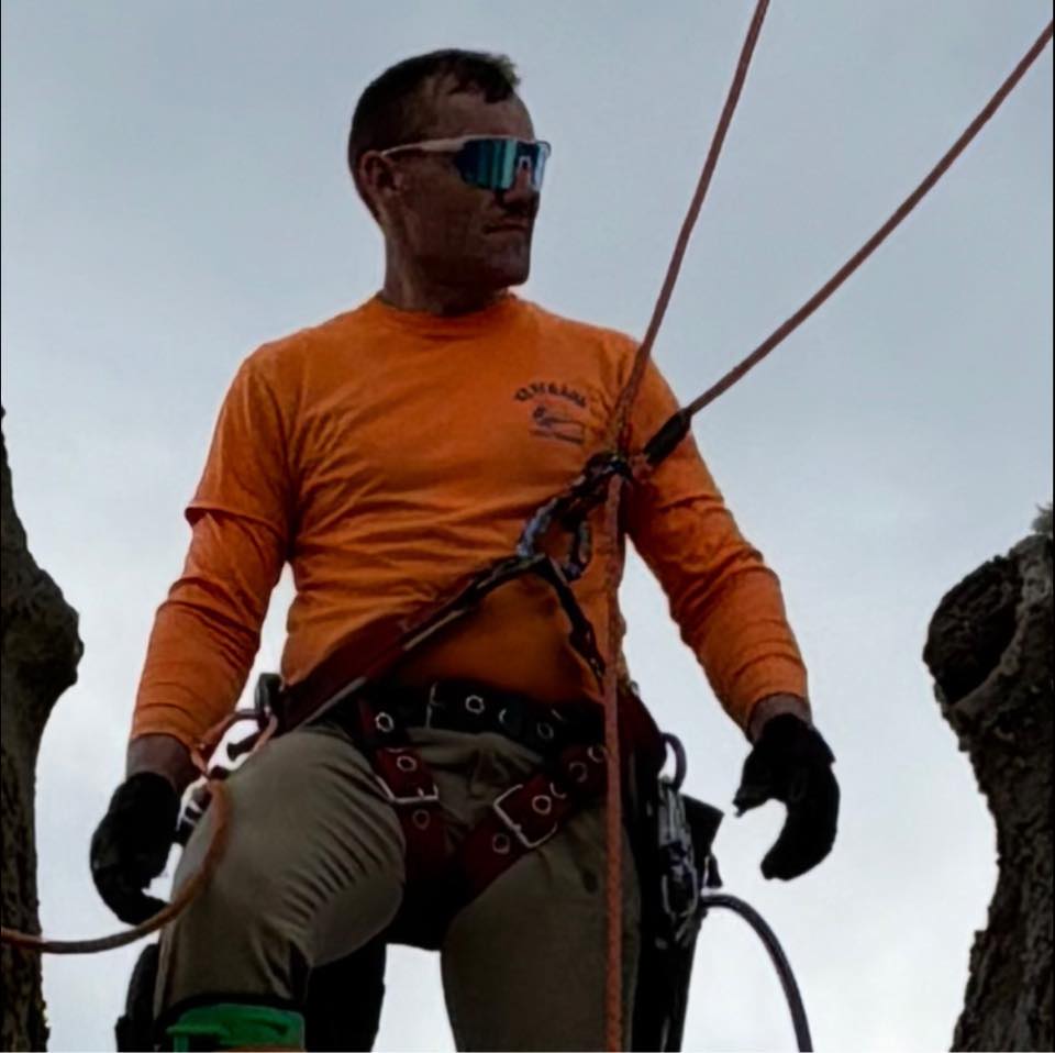 Veterans Tree Service | Marengo IA