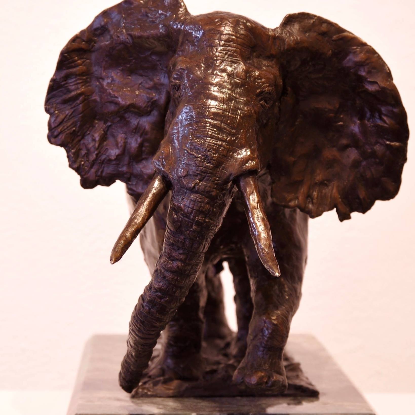 Tim Dann Artist
