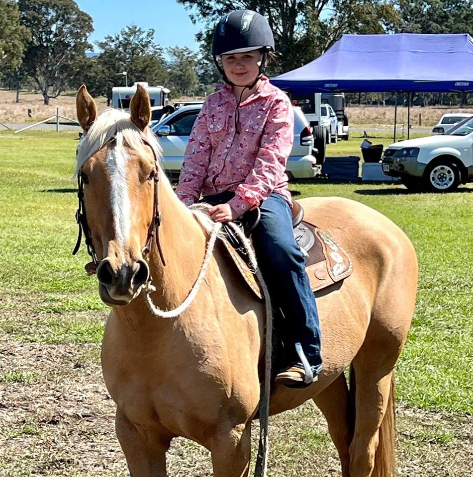 Everything Equine Northern Rivers | Looking for recommendations for vet ...
