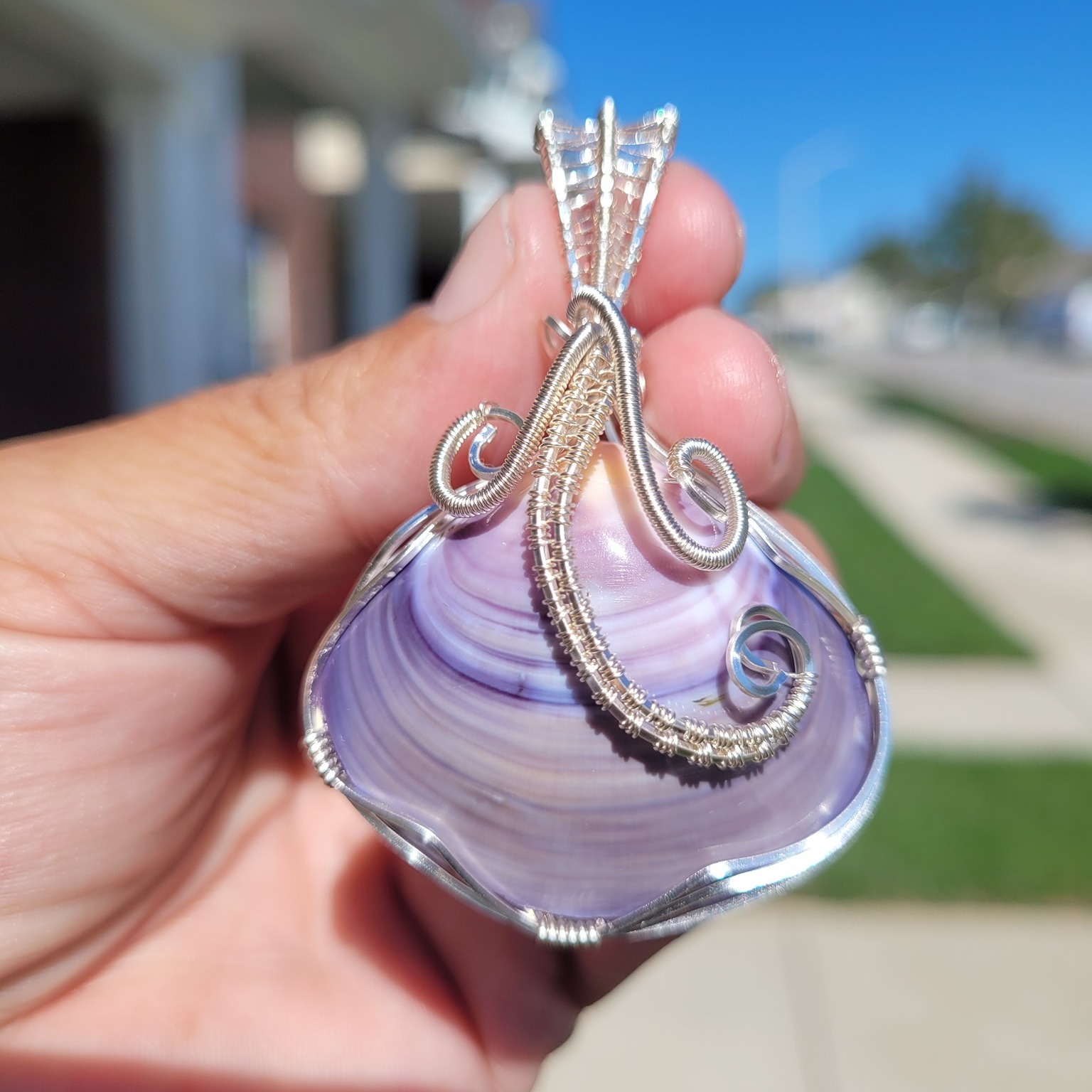Seashell Impressions