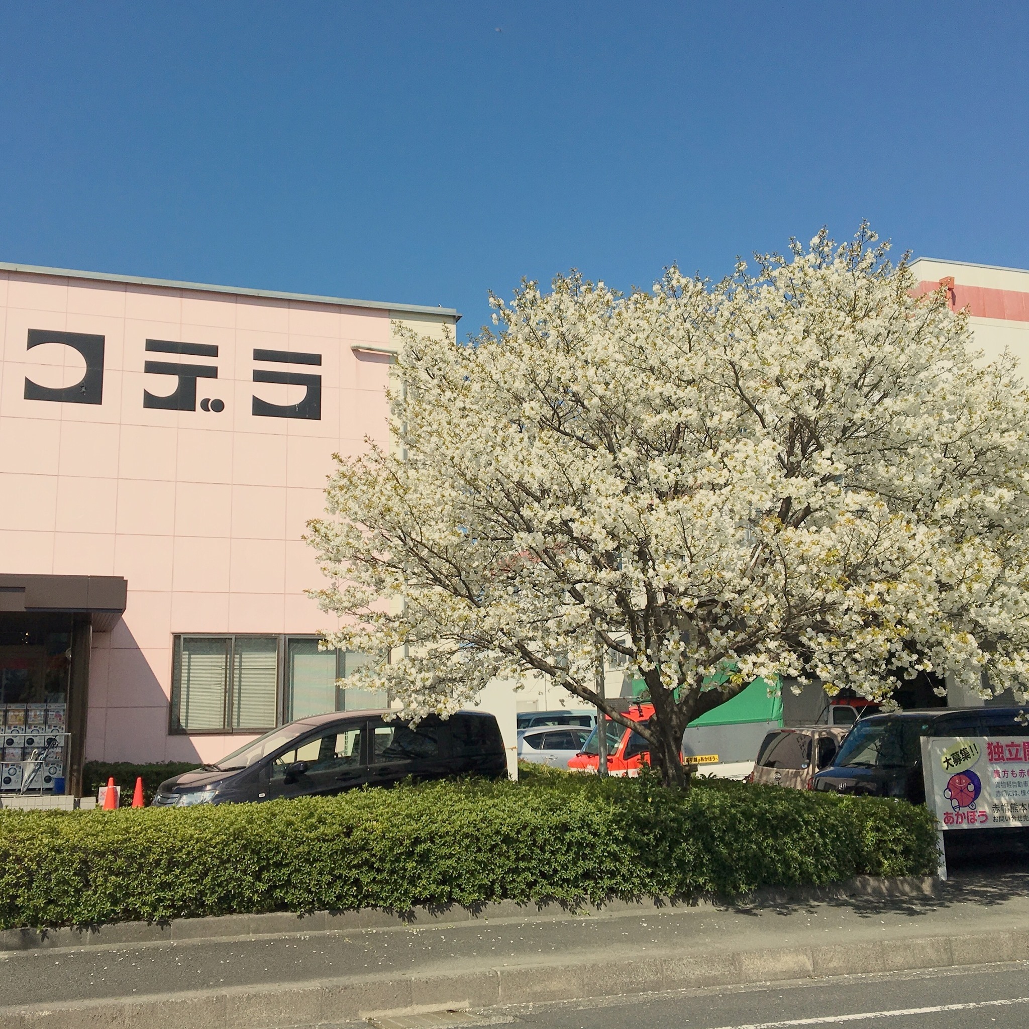 有限 会社 コデラ