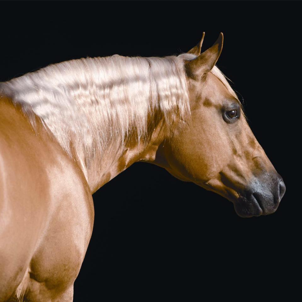 Lariat Ranch