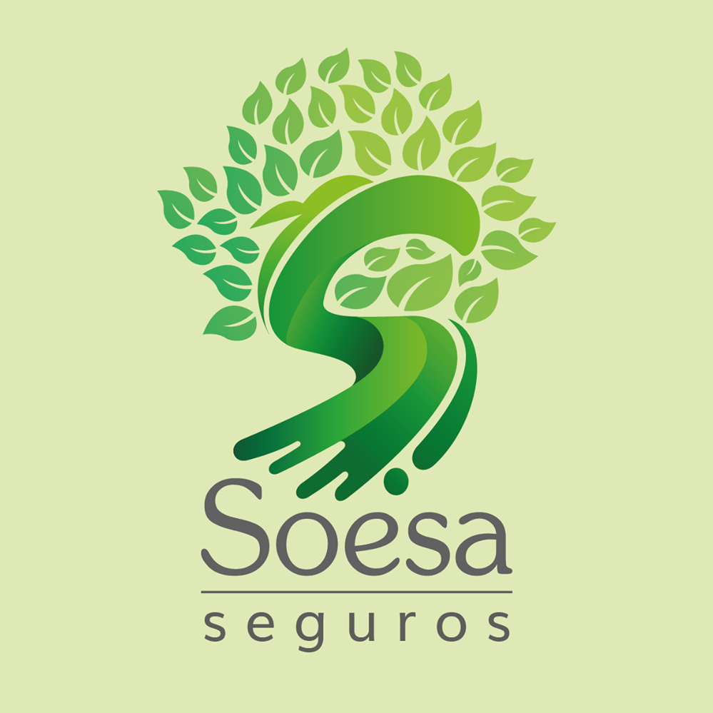 Soesa Seguros