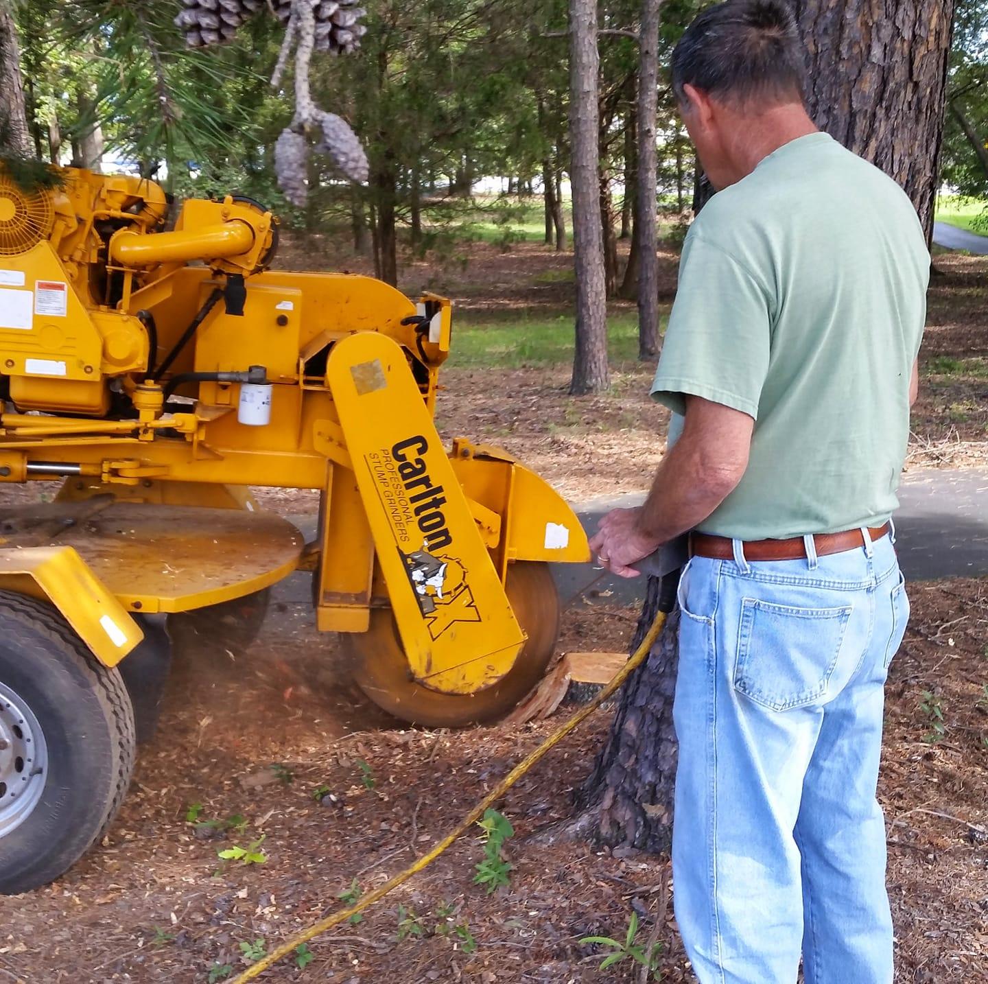 Action Tree Service | Greer SC