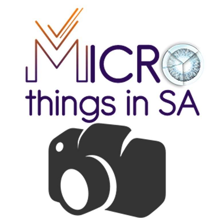 Micro things in SA