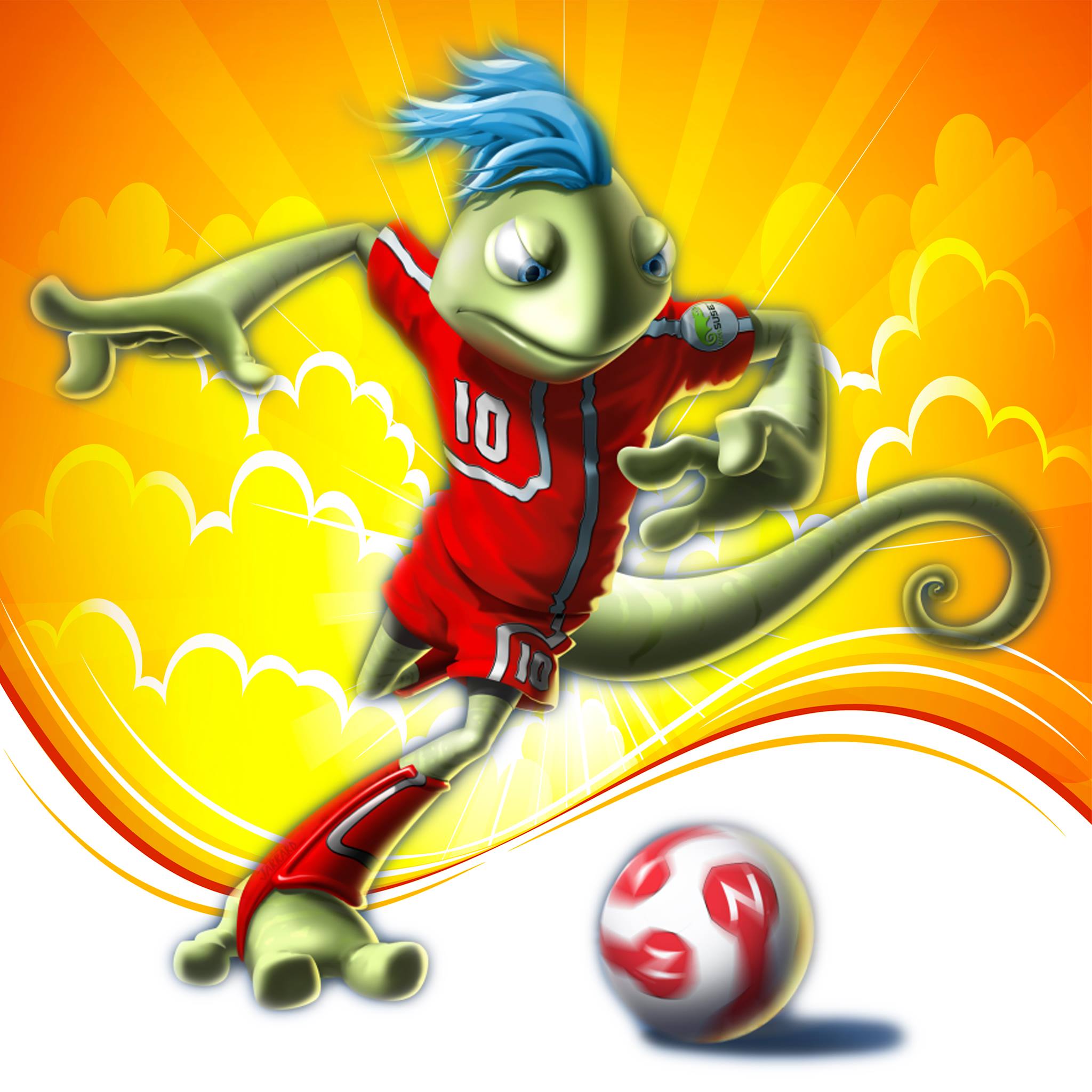 Shellharbour City Football Club - SCFC | Shellharbour NSW