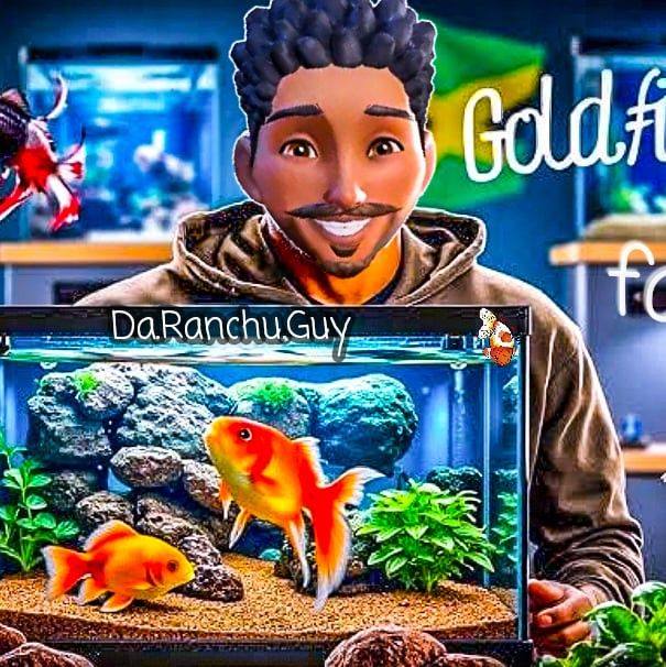 Da Ranchu Guy | Giza