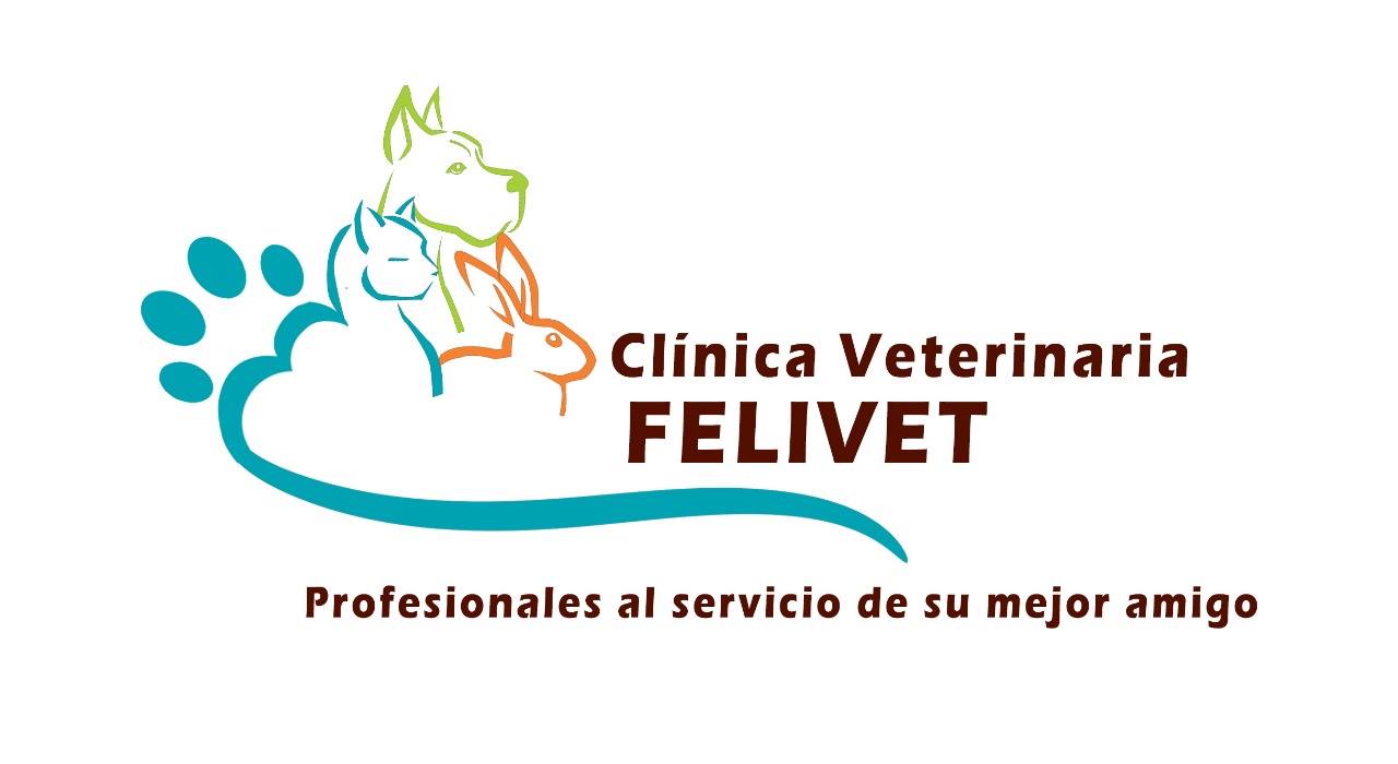 Felivet Clínica Veterinaria | Ibagué