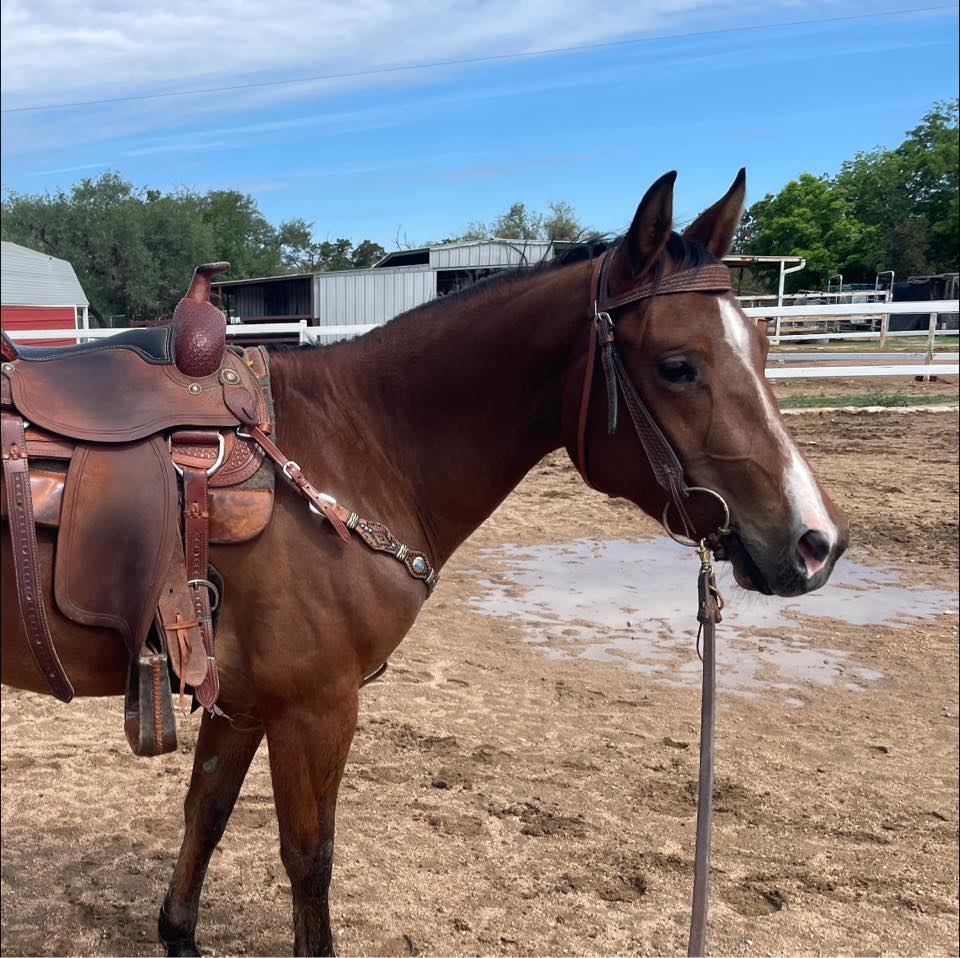A & R Ranch | Spring Branch TX