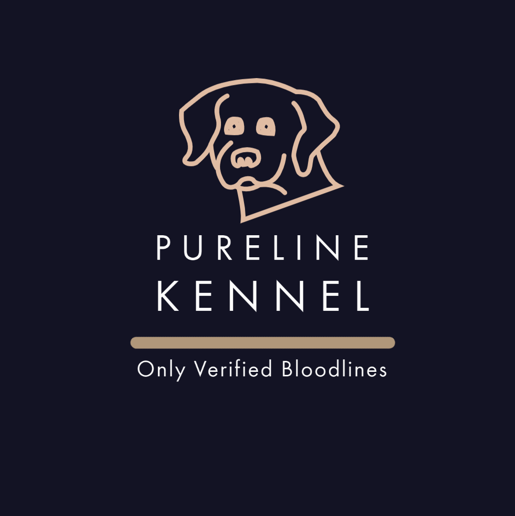 Pureline Kennel | Jalandhar