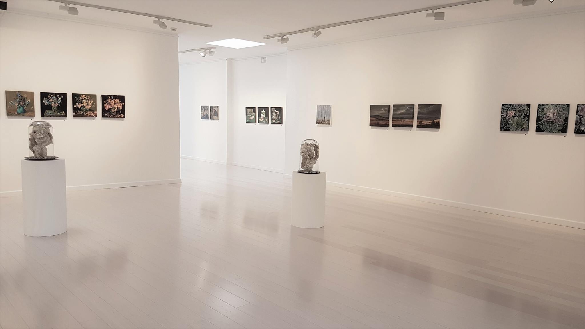 Wagner Contemporary- Australian Contemporary Gallery | Paddington NSW