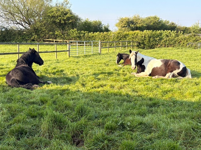 Wick Riding Stables