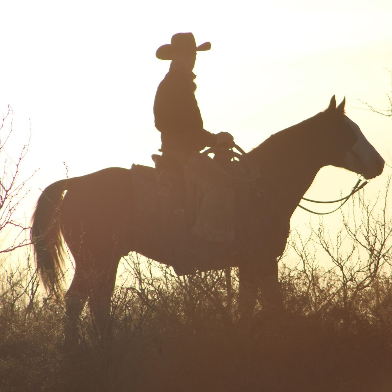 Flag Ranch Enterprises | Colorado City TX