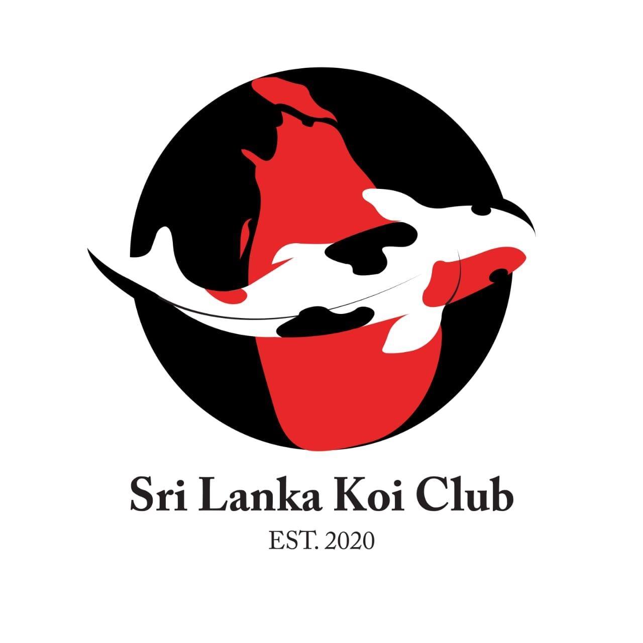 Sri Lanka Koi Club - SLKC - THE LOULAN STORY There have been millions ...