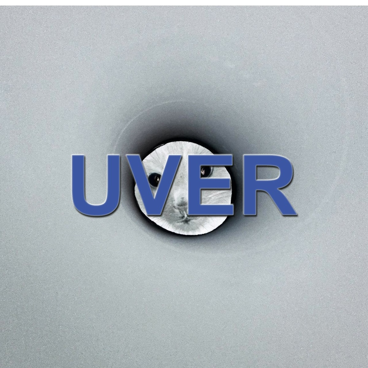 UVER (@UVERband) • Facebook