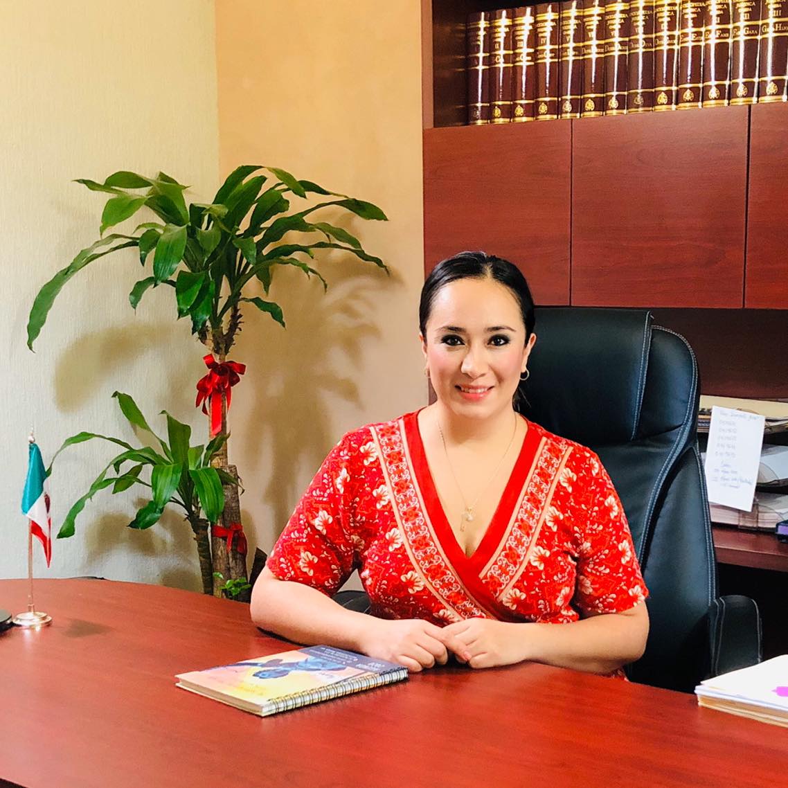 Despacho Jurídico Ma. Isabel Ramirez Mercado | Hidalgo
