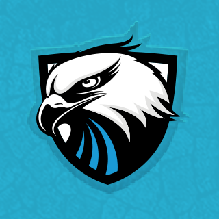 Miraculous Hawks Esports