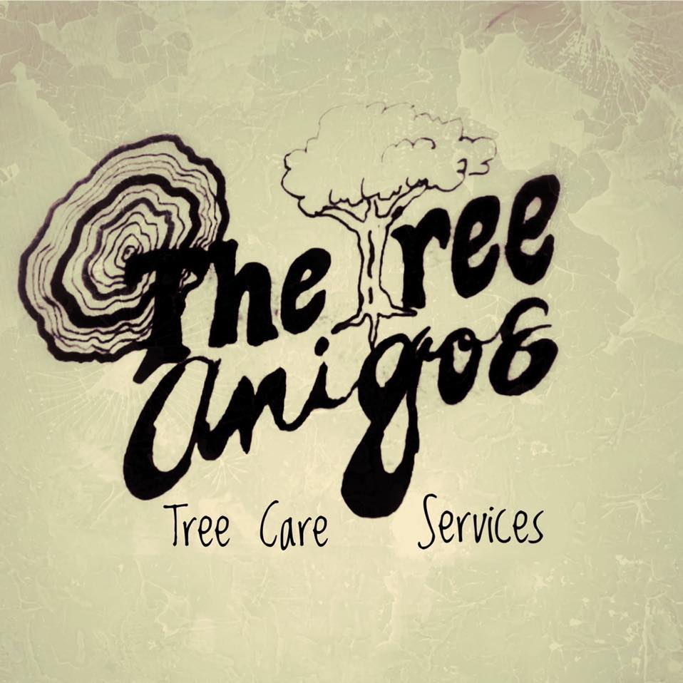 Tree Amigos Tree Services
