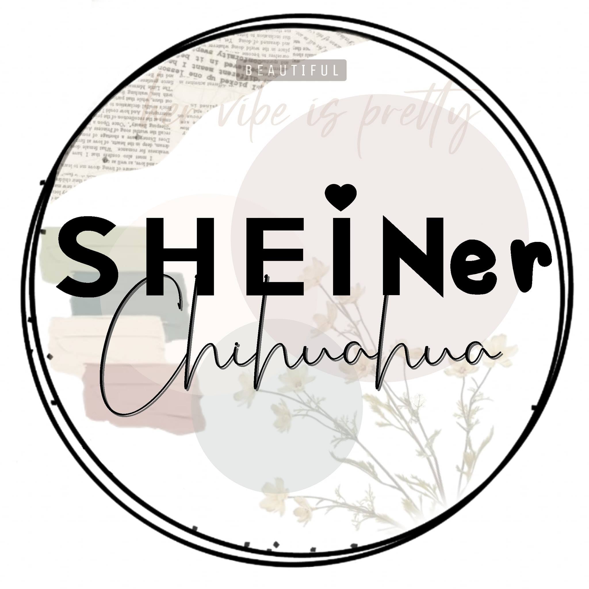 Sheiner Chihuahua
