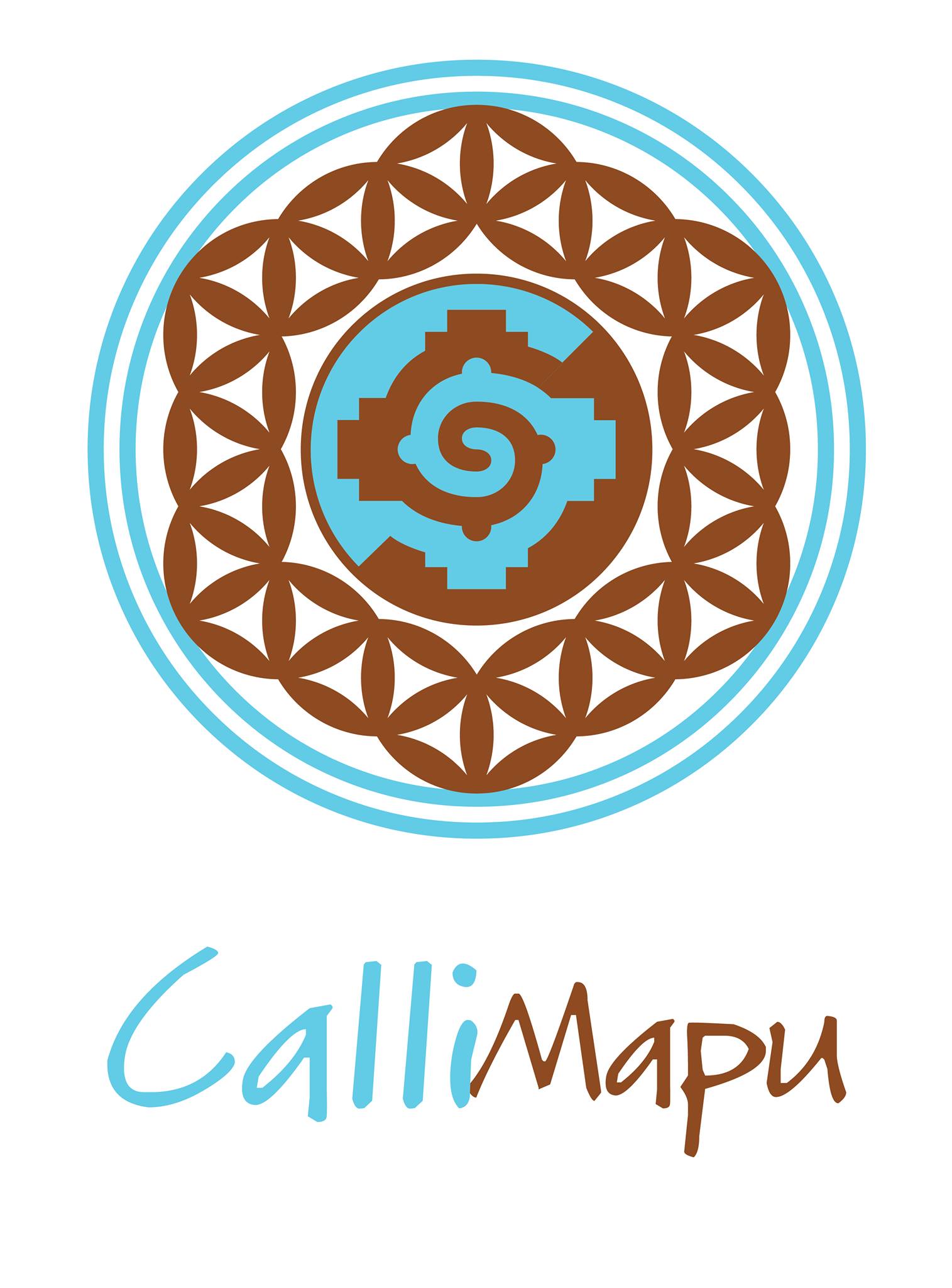 CALLI MAPU | Mexico City