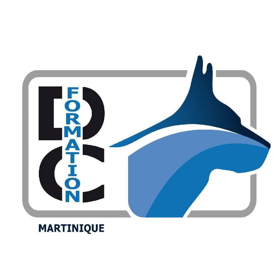 DC Formation 972 | Les Trois-Îlets Martinique