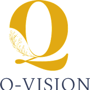 Qvision | Humble TX