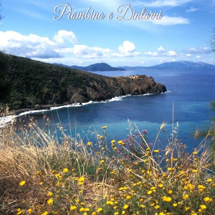 Gordiano Lupi - In zona #piombino tutti divulgano questo... | Facebook