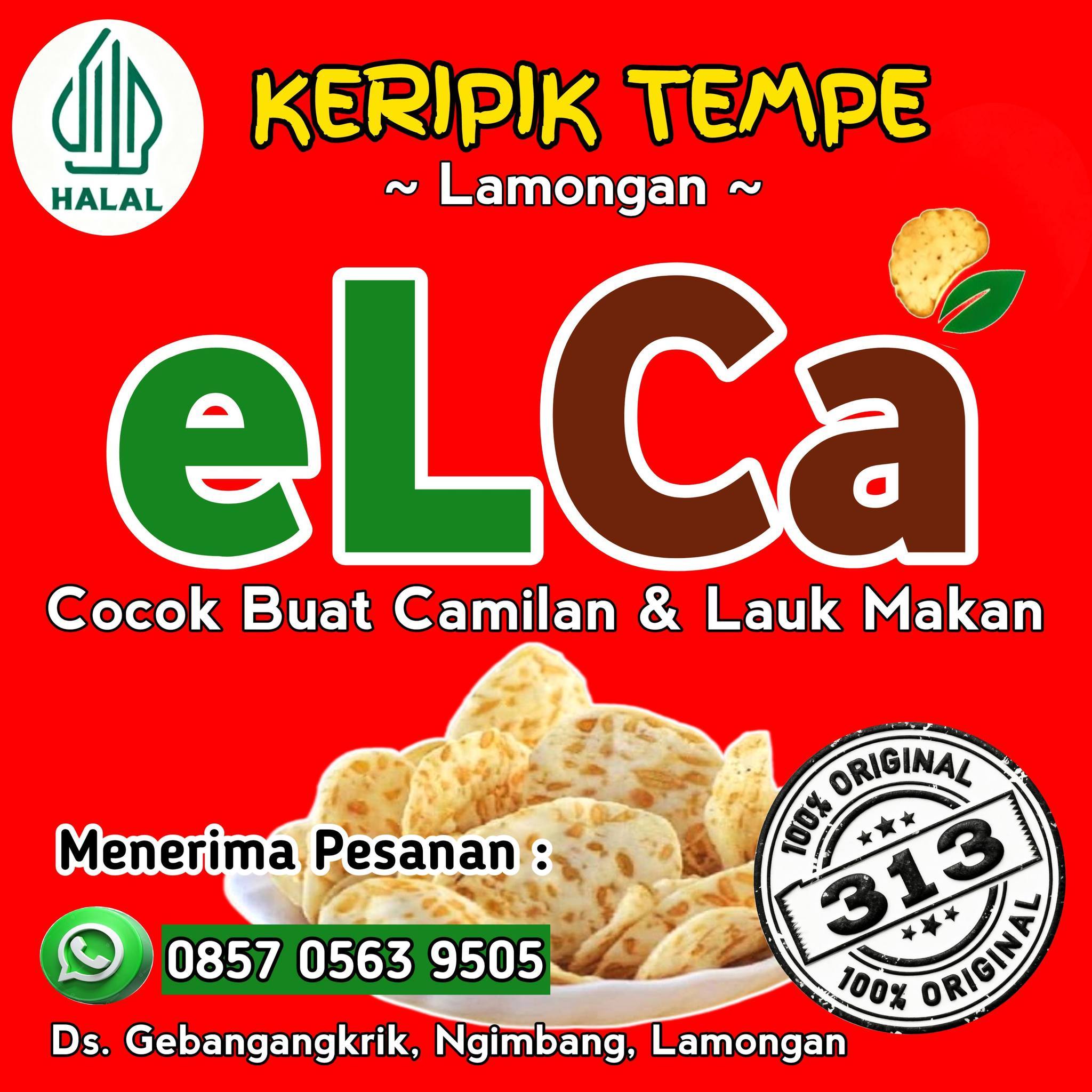 Keripik Tempe Lamongan