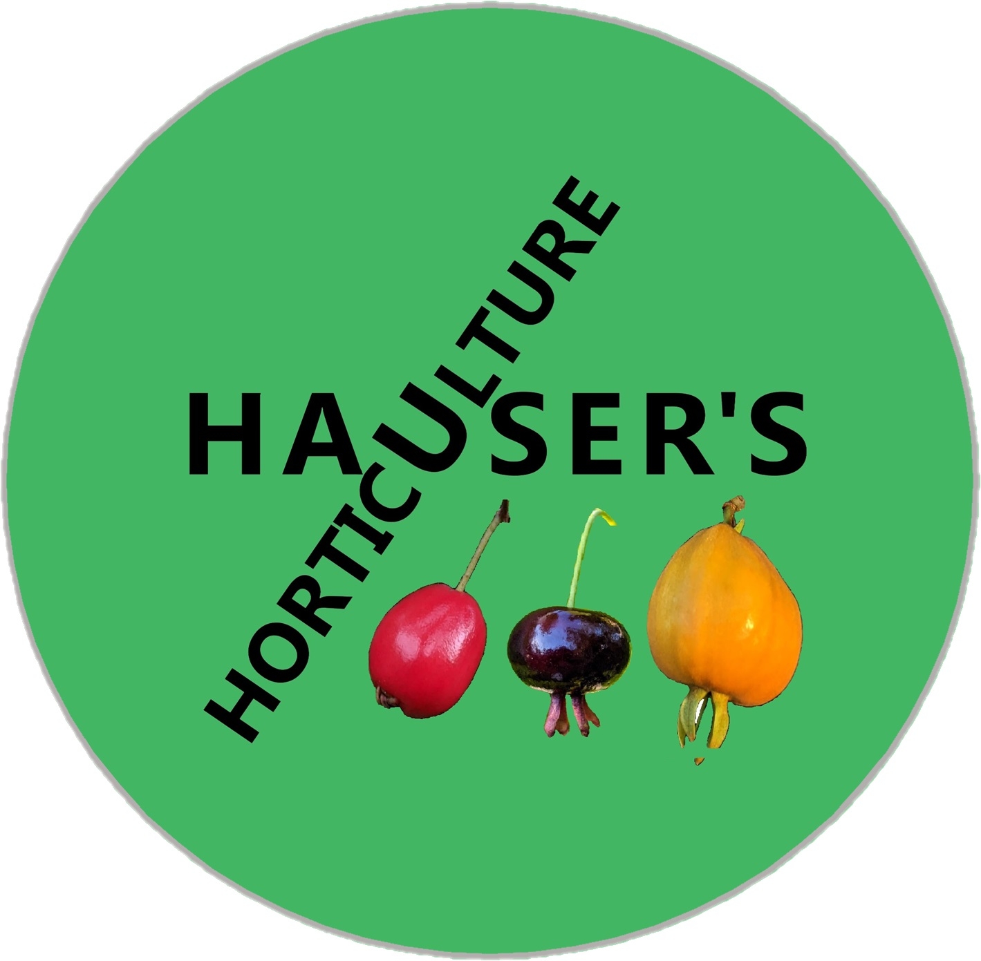Cape Gooseberry Pest Control