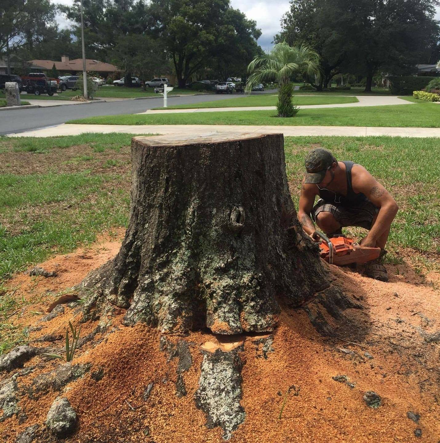Cheap As Hell Stump Grinding And Tree Trimming | Polk City FL