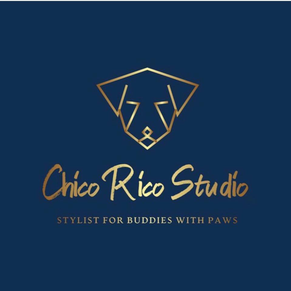 Chico Rico Studio | Toronto ON