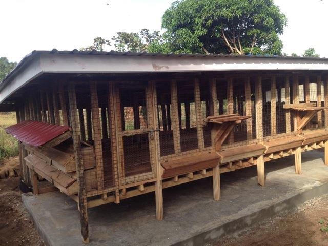 Bm Farm