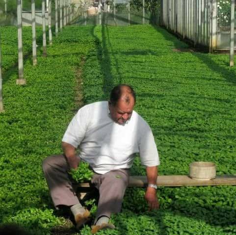 Azienda Agricola di Ratto Francesco | Genova