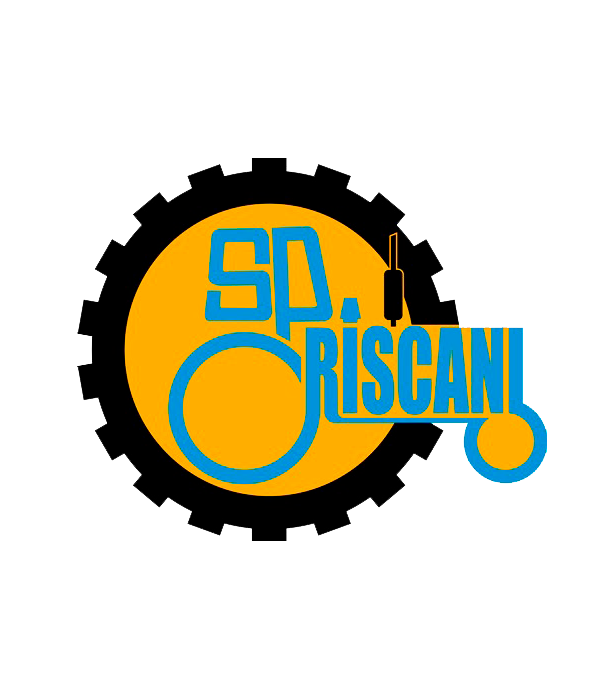 Scoala Profesională Rîșcani | Riscani