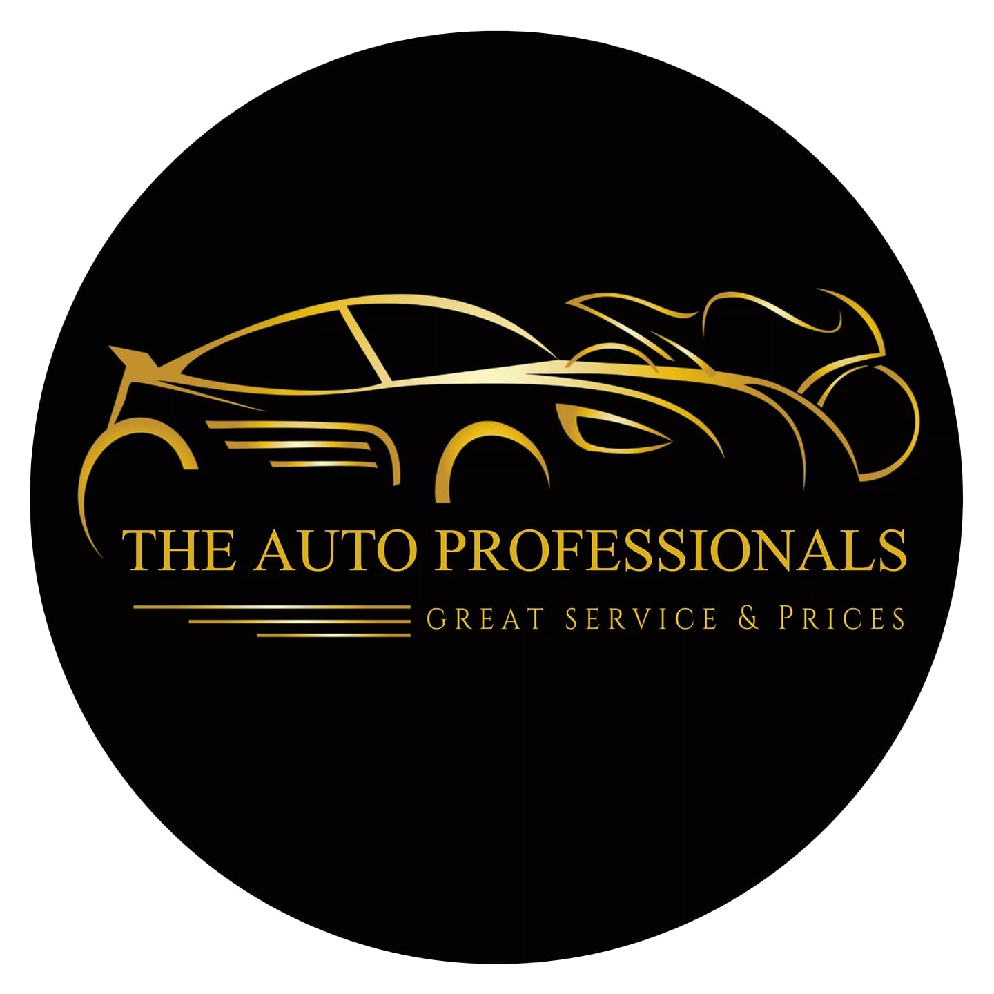 The Auto Professionals | Indianapolis IN