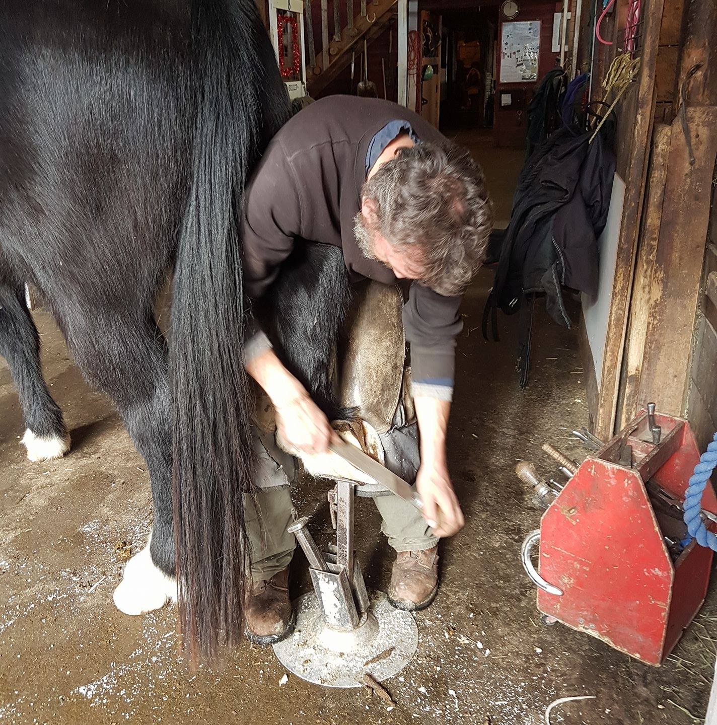 Four Corners Farrier Services Limited - This is Ty. He was the first ...