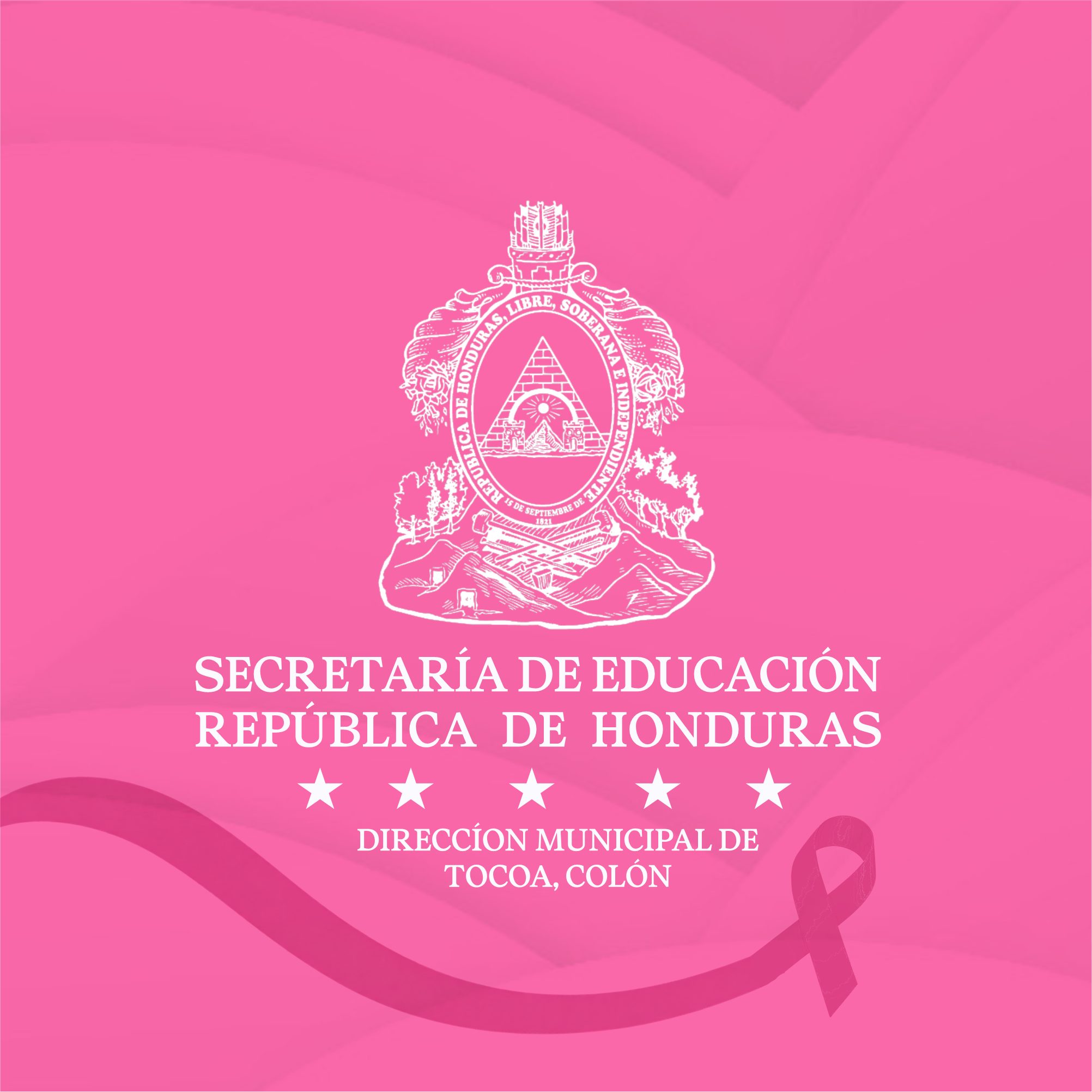 Instituto Ramón Rosa Tocoa Colón