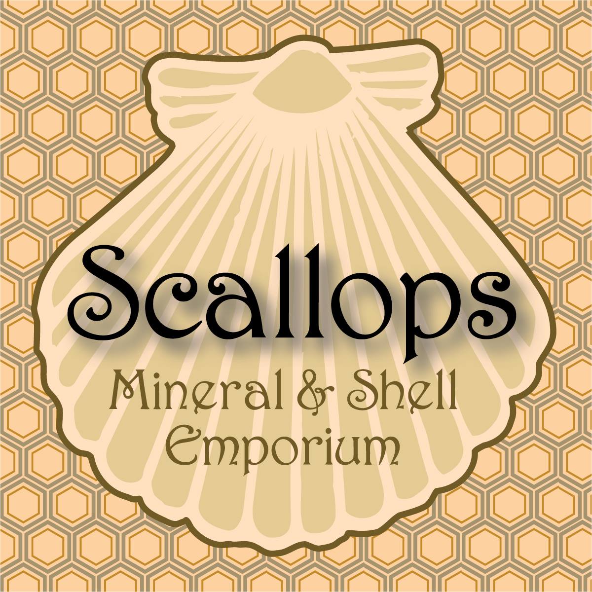 Scallops Mineral and Shell Emporium | Portsmouth NH
