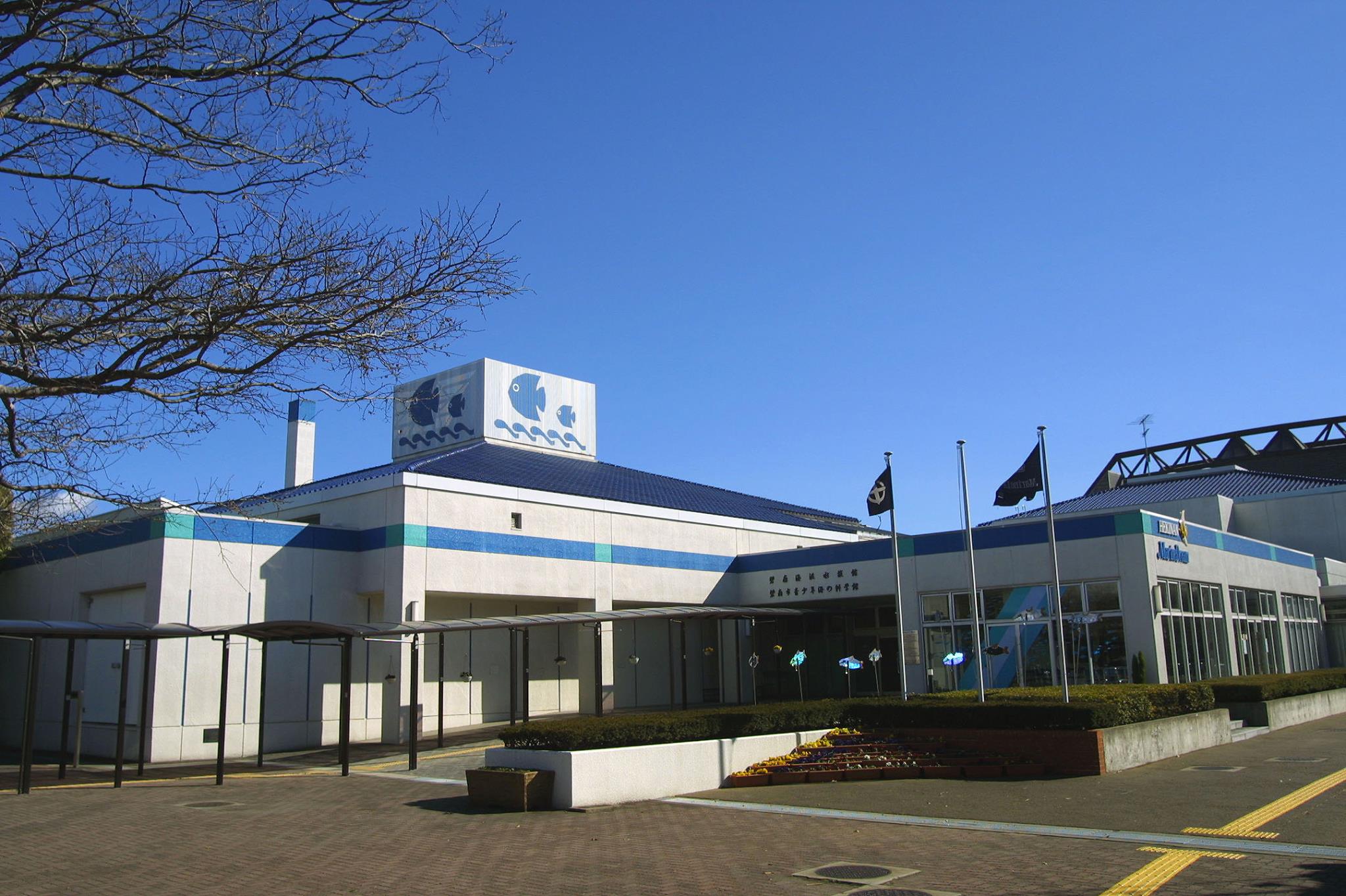 碧南 海浜 水族館