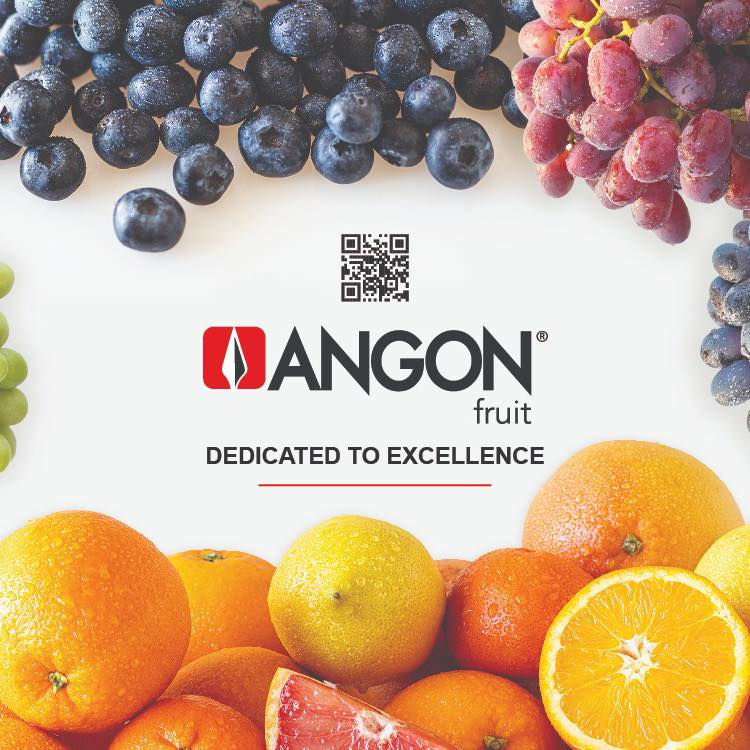 Angon - Angon Fruit holds an annual Kanaan grape bunch competition for ...