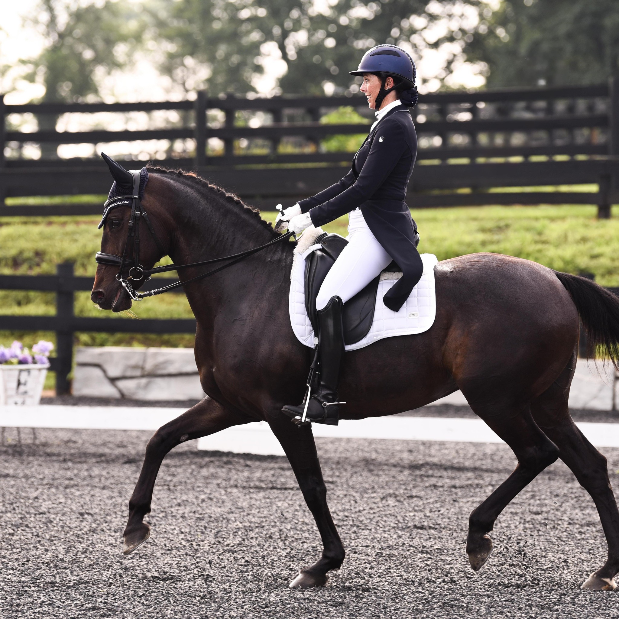 🐴 Do you have a horse that... - Collective Roots Dressage CRD | Facebook