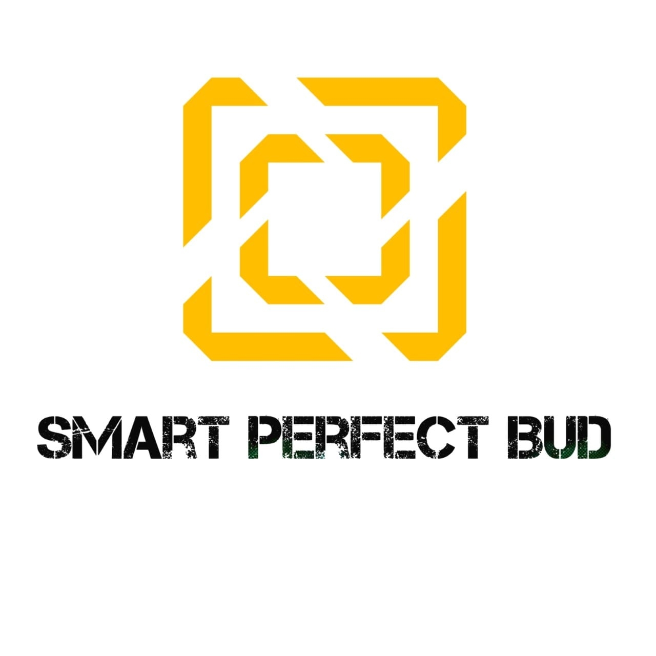SMART Perfect BUD