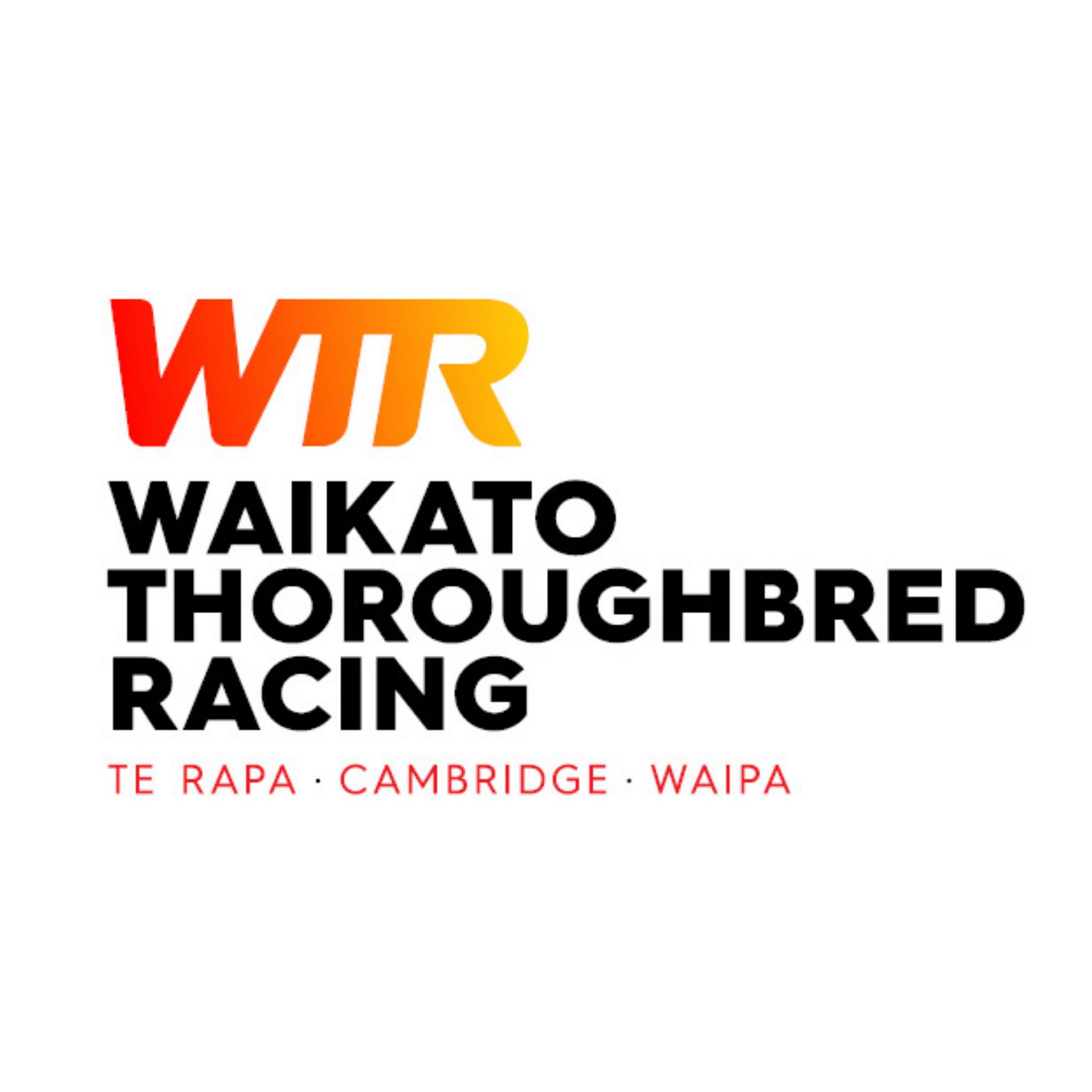 Te Rapa Racing | Hamilton