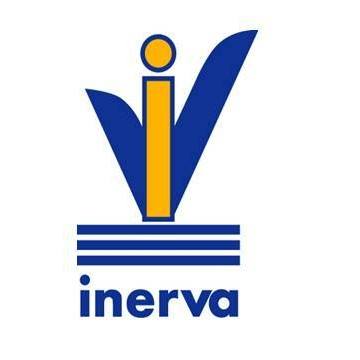 Inerva: Ingeniero Ervin Vargas | Santiago