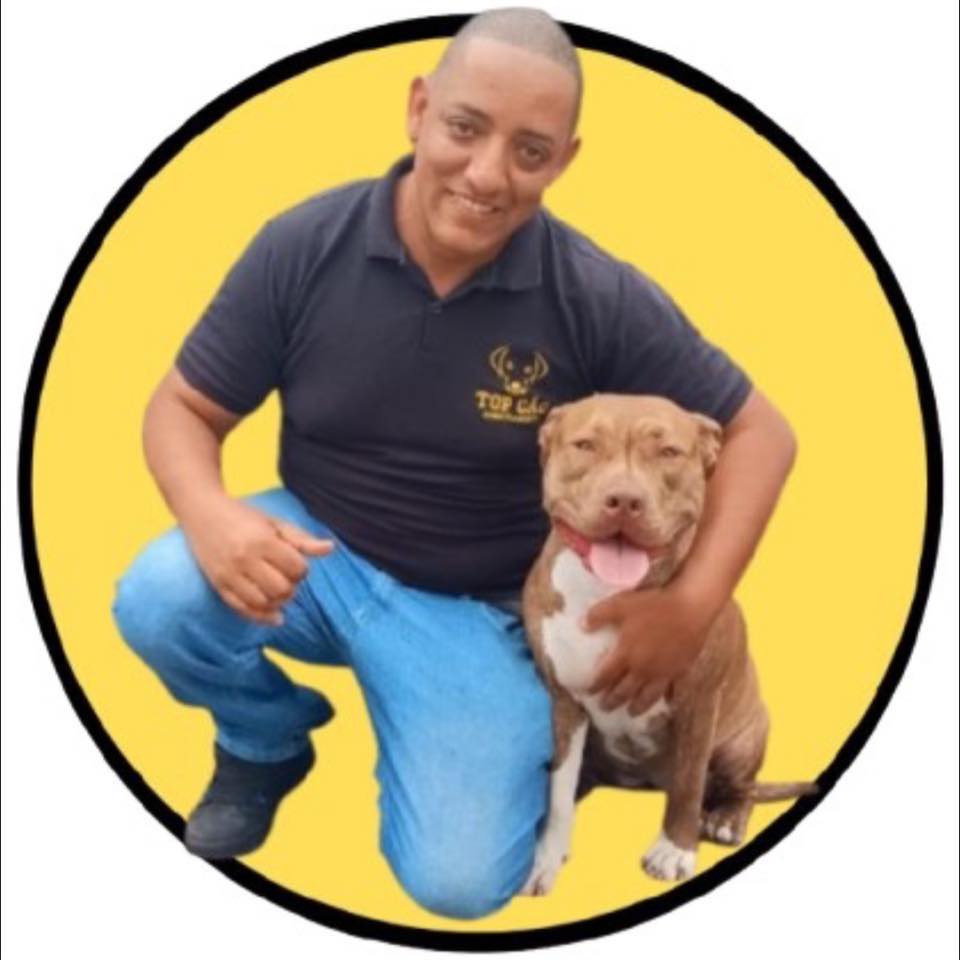 TOP CÃO