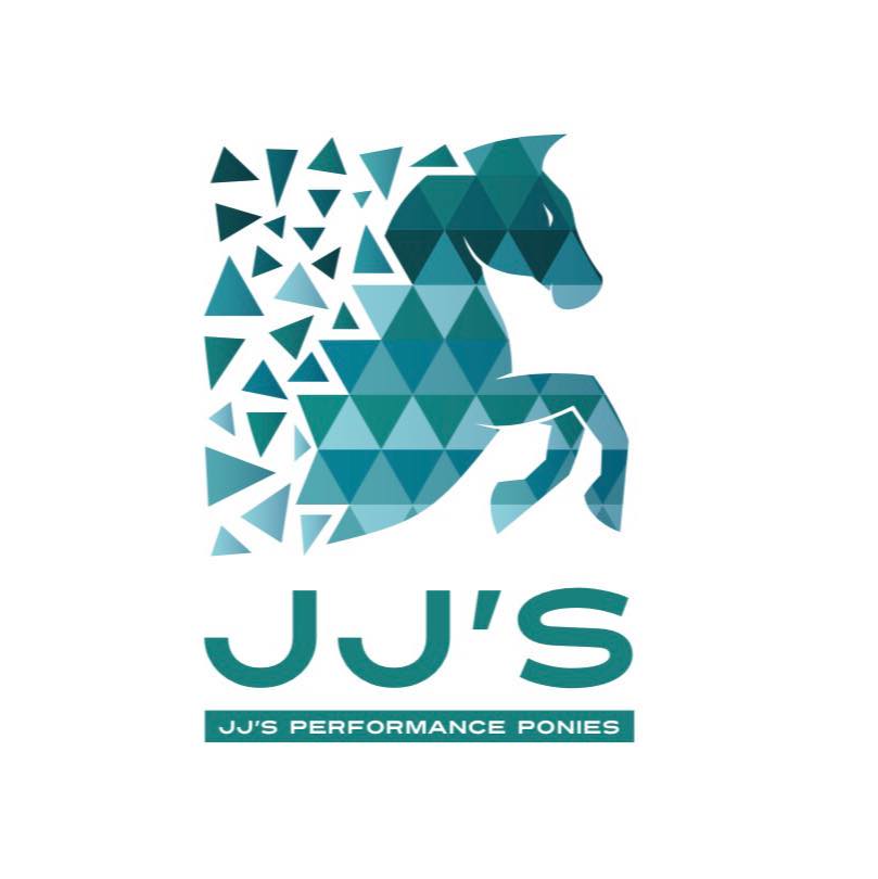 JJ's Performance Ponies | Northampton
