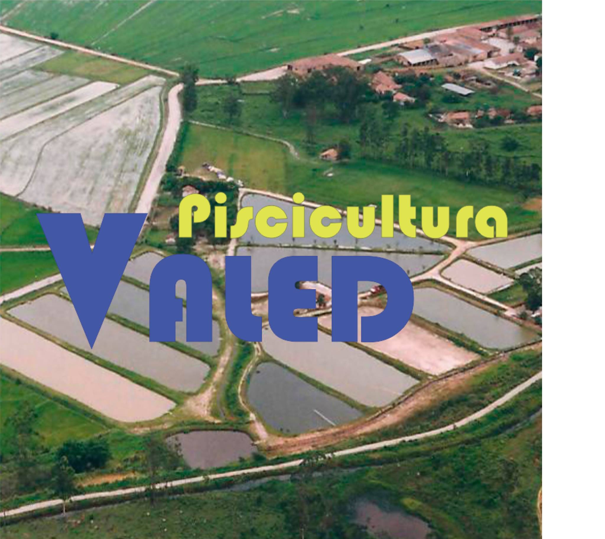 Piscicultura Valed | Tremembé SP
